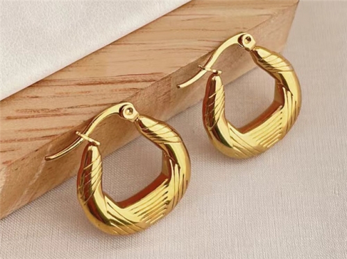 HY Wholesale Earrings 316L Stainless Steel Earrings Jewelry-HY0123E0077