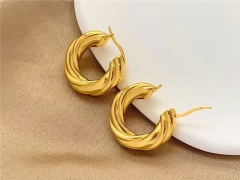 HY Wholesale Earrings 316L Stainless Steel Earrings Jewelry-HY0123E0184