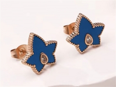 HY Wholesale Earrings 316L Stainless Steel Earrings Jewelry-HY0123E0149