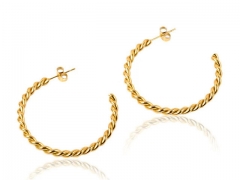 HY Wholesale Earrings 316L Stainless Steel Earrings Jewelry-HY0123E0199