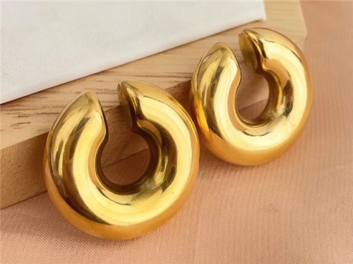 HY Wholesale Earrings 316L Stainless Steel Earrings Jewelry-HY0123E0079