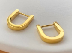 HY Wholesale Earrings 316L Stainless Steel Earrings Jewelry-HY0123E0164