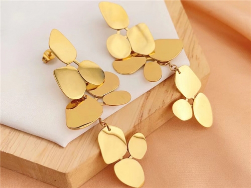 HY Wholesale Earrings 316L Stainless Steel Earrings Jewelry-HY0123E0039