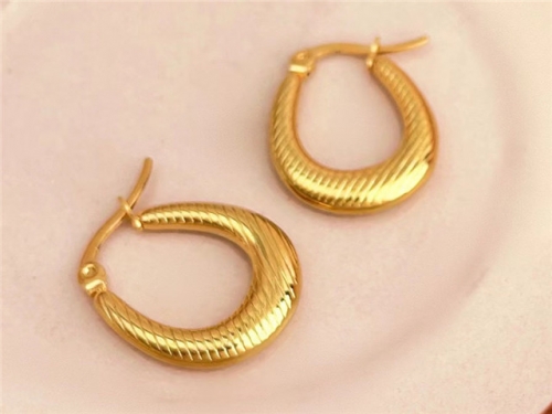 HY Wholesale Earrings 316L Stainless Steel Earrings Jewelry-HY0123E0057