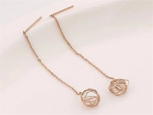 HY Wholesale Earrings 316L Stainless Steel Earrings Jewelry-HY0123E0157