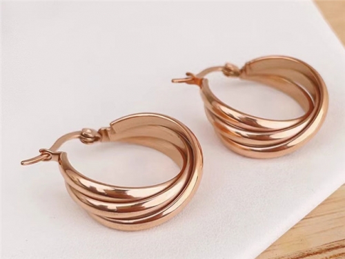 HY Wholesale Earrings 316L Stainless Steel Earrings Jewelry-HY0123E0089
