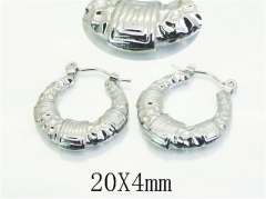HY Wholesale Earrings 316L Stainless Steel Earrings Jewelry-HY30E1775LC