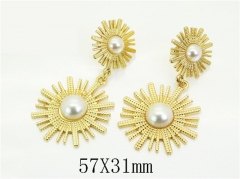 HY Wholesale Earrings 316L Stainless Steel Earrings Jewelry-HY80E1154HXX