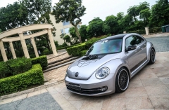 FW336_Volkswagen Beetle