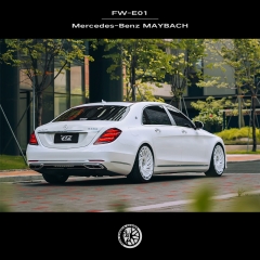 FW-E01 & BENZ MAYBACH S450