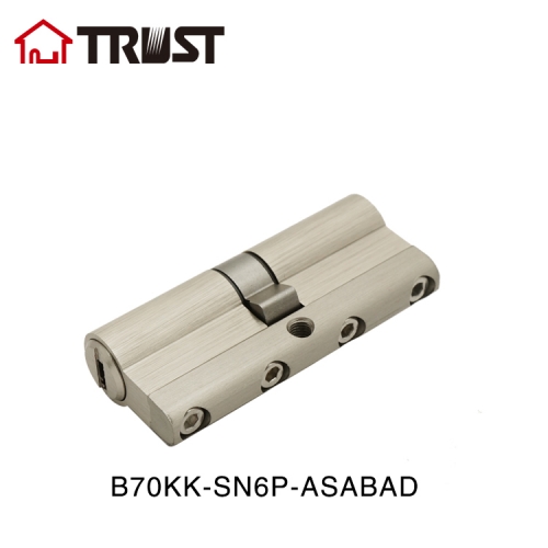 TRUST B70KK(KT)-SN6P-ASABAD High Class Euro Cylinder For Mortise Lock With Anti-snap Anti-bump