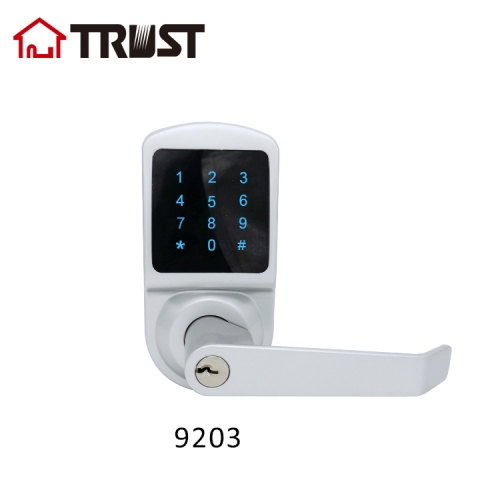 TRUST 9203-SN Hot Sale Password Keypad Smart Door Lock With Handle