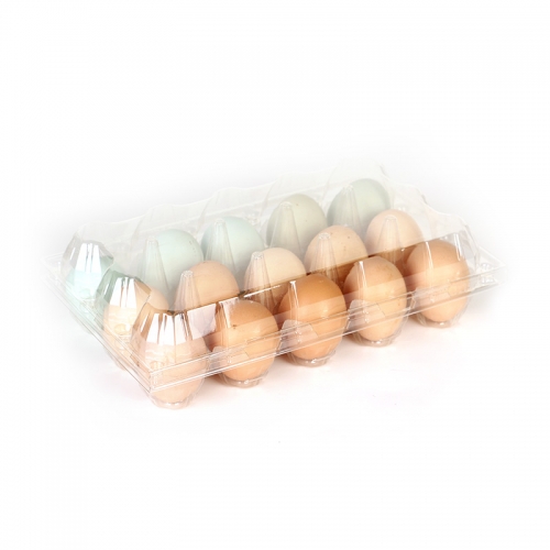 egg packing