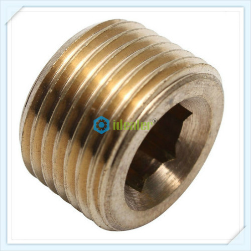 Brass Adaptors-Plugs