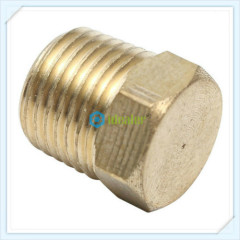 Brass Adaptors-Plugs