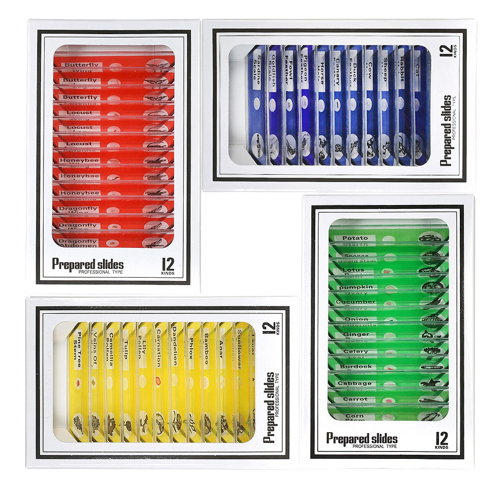 Prepared Microscope Slide