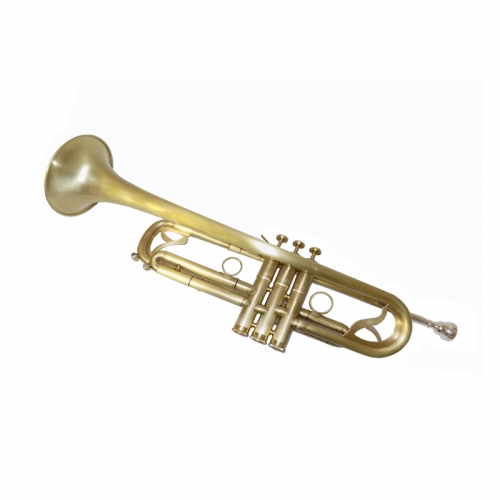 Bb Trumpet musical instruments professional Brass trumpet Brush Finish with Case and Mouthpiece