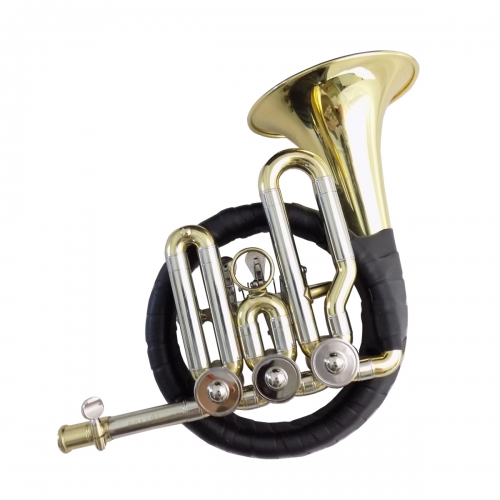 Bb Post Horn Rotary valves Brass Body With Wood case Brass wind Musical instruments