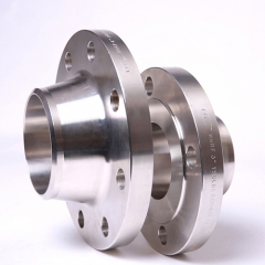 WNRF Flange 300# 30