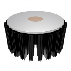 100W RSH Series LED Heat Sink