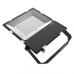 100W LED Flood Light