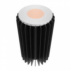 50W FCZ Series LED Heat Sink