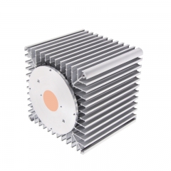 100W COB Modular Light