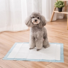 Hot pet training supplies pet thickening diaper deodorant cat toilet products dog training pad