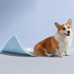 Disposable puppy pet absorbent dog training pee pad mat