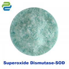 Recombinant Human Superoxide Dismutase (Cu.Zn-SOD)