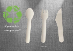 13.5cm Paper Cutlery - Medium