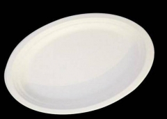 PLA Biodegradable Plates 6.7