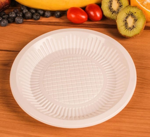 Disposable Plastic Plates 20cm