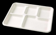PLA Biodegradable Plates 10.4