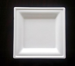 PLA Biodegradable Plates 6.3