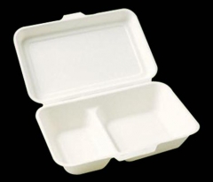 PLA Biodegradable boxes 7
