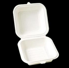 PLA Biodegradable boxes 8