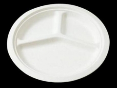 PLA Biodegradable Plates 10