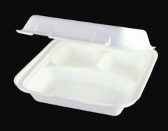 PLA Biodegradable boxes 8x8