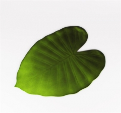 Leaf Shaped Dinning Table Place Mat in Stock