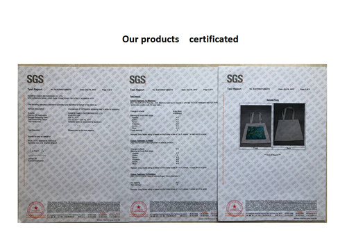 SGS certification obtained by canvas bag factory