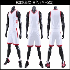 New design NBA Toronto Raptors jersey