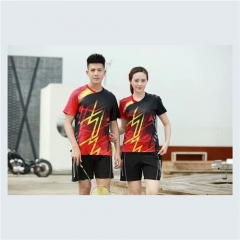 New Quick dry Badminton clothes Male/Female , sports Badminton sets