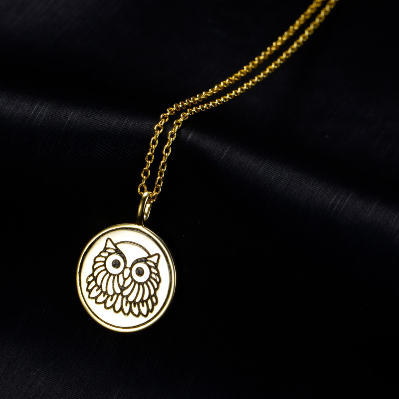 owl coin pendant necklace