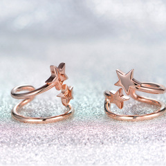 Rose Gold Plated Star Earrings