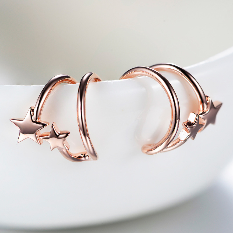 Rose Gold Plated Star Earrings