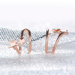 Rose Gold Plated Star Earrings