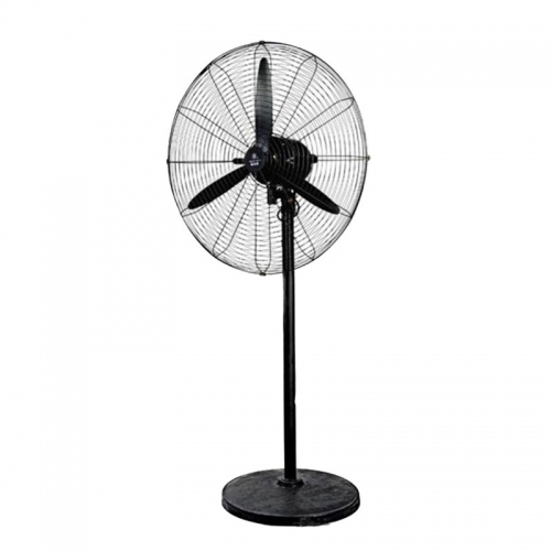 Industry Stand Fan Copper Different Diameter Available  550mm 680mm 780mm  Diameter