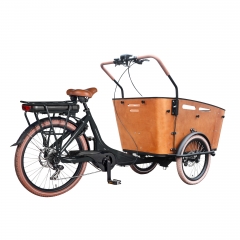 Padel assist Electric cargo bike three wheel