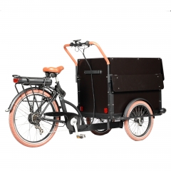 Electric Cargo bike for Coffee fruit